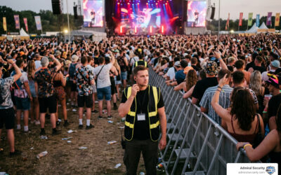 No VIP Pass? No Entry: A Guide to Concert and Festival Security