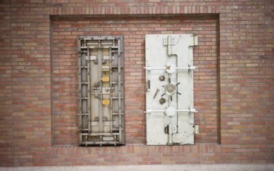 Locking Down the Money: Top Financial and Commercial Security Solutions